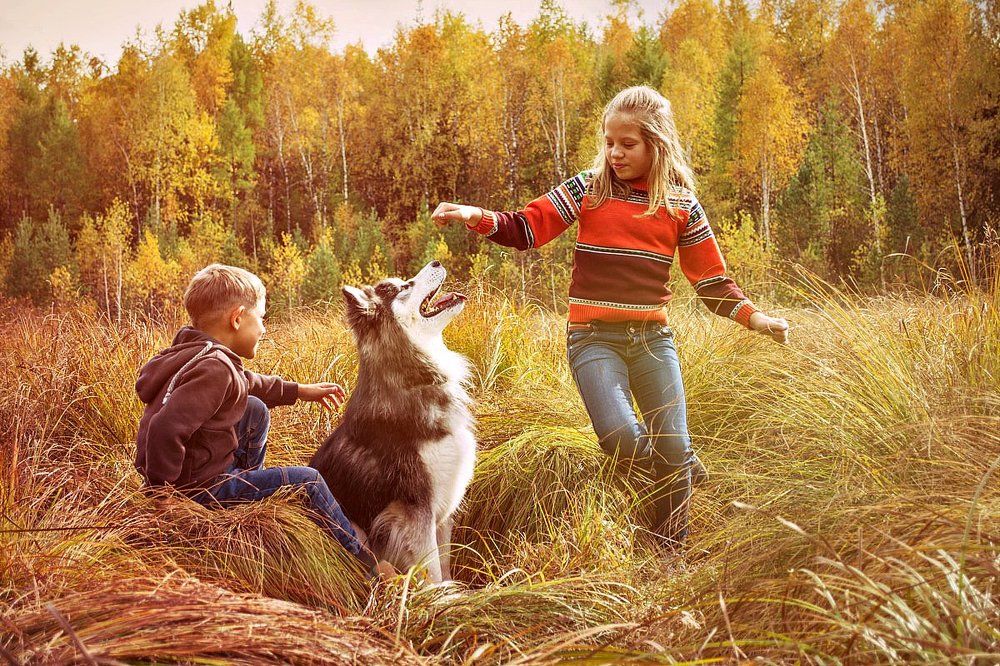 один осенний день..