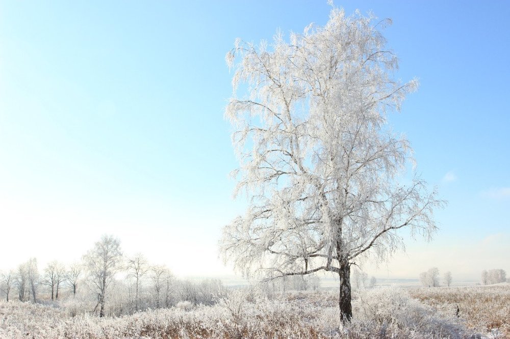 Зимний день.