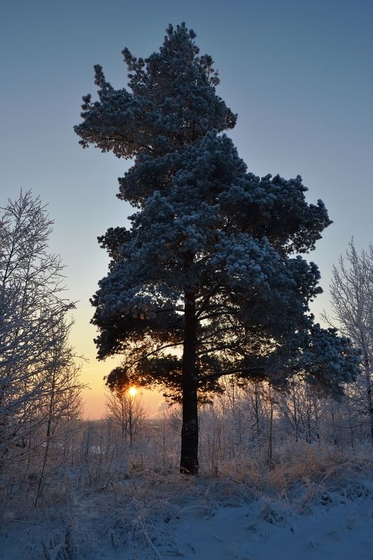 Валентин, Russia