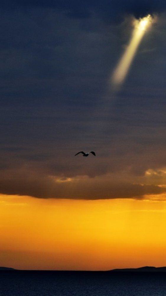 Посланник надежды