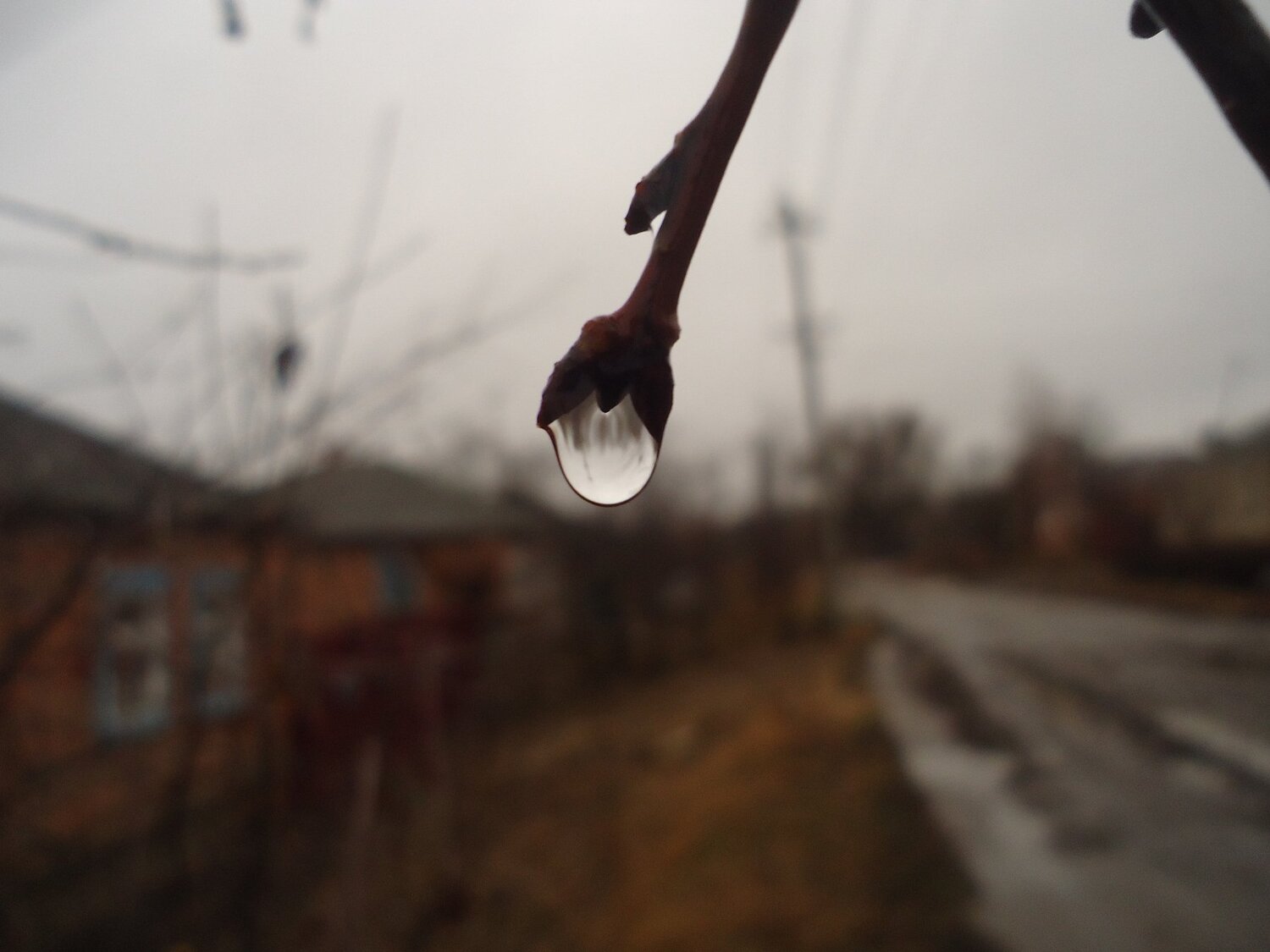 Капля
