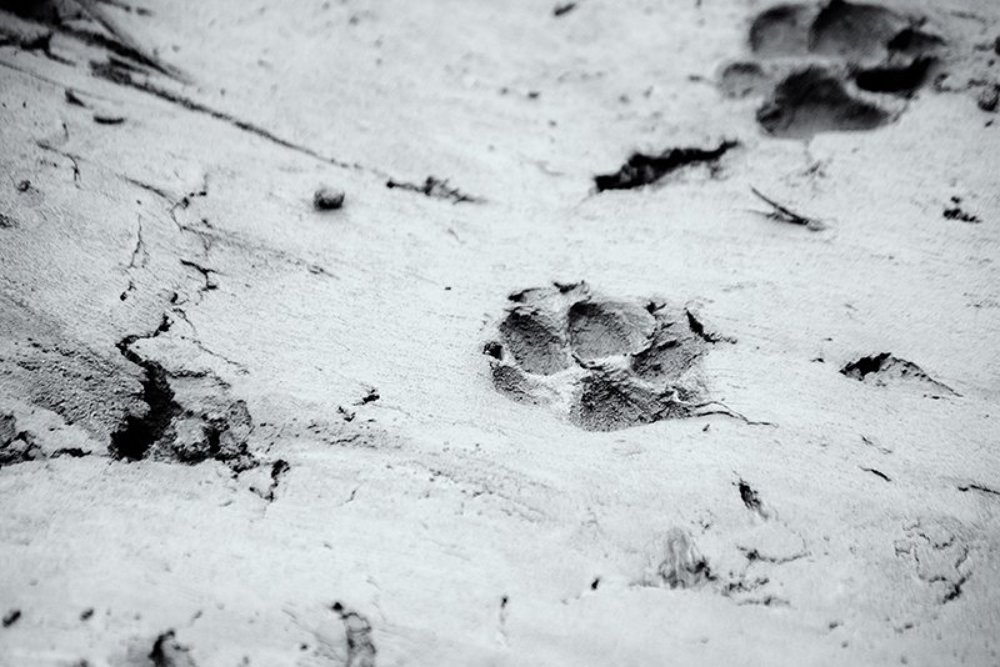 Photograph by thiago gimenes