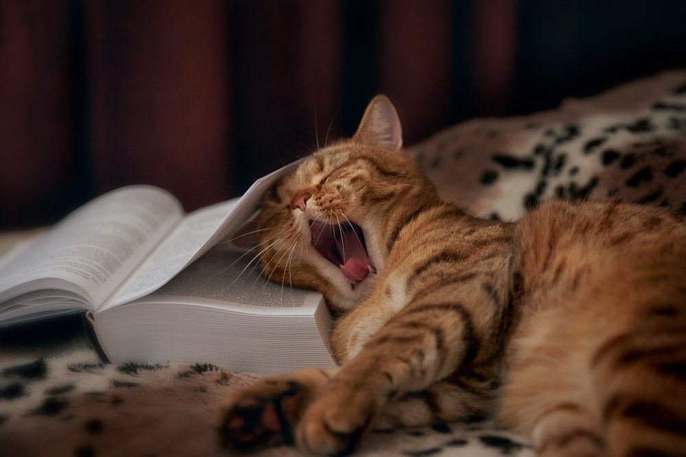 Тяжелая литература