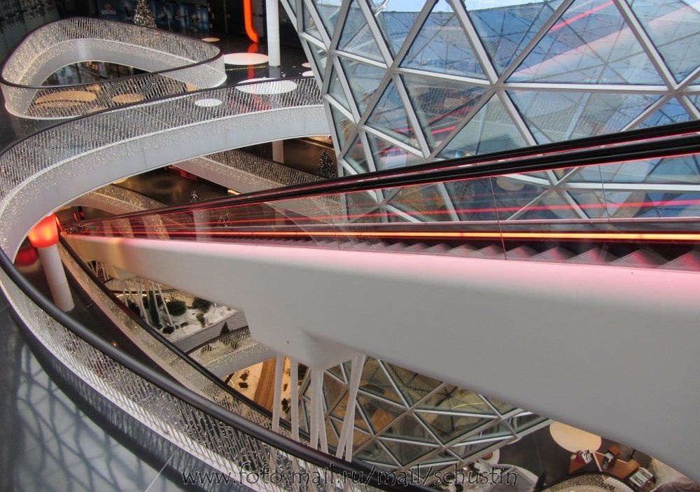 Photograph by Shyniiv