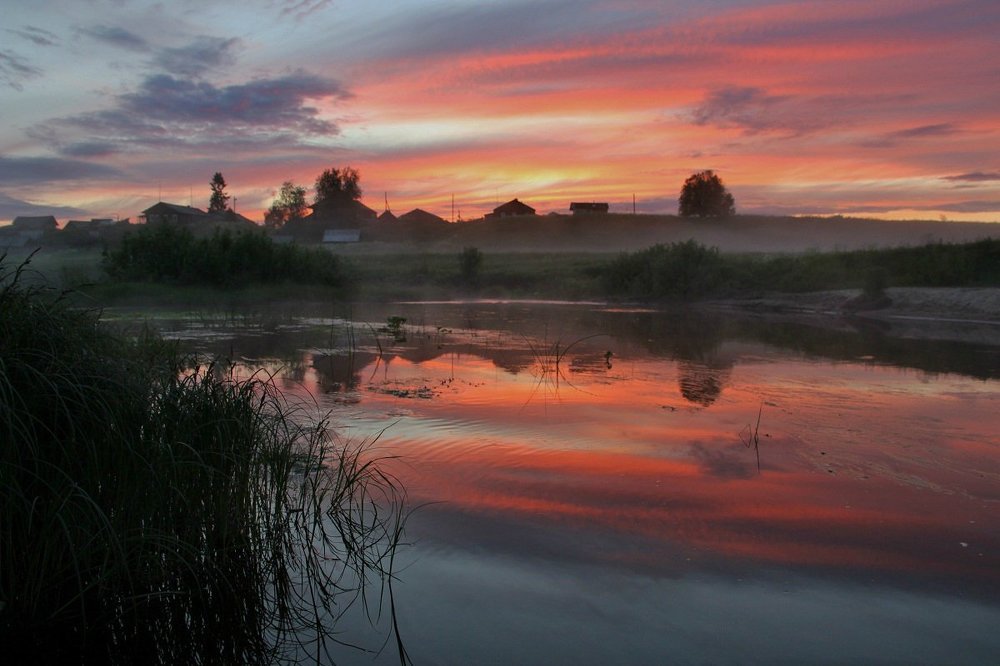 Они плывут и исчезают в снах.