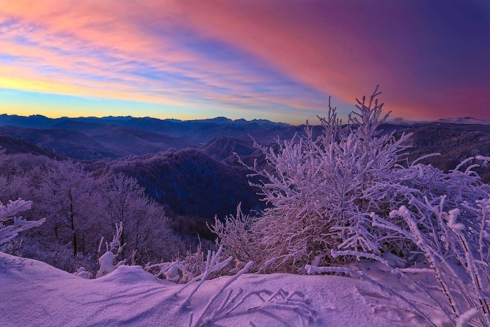 Photograph by Юрий Головченко