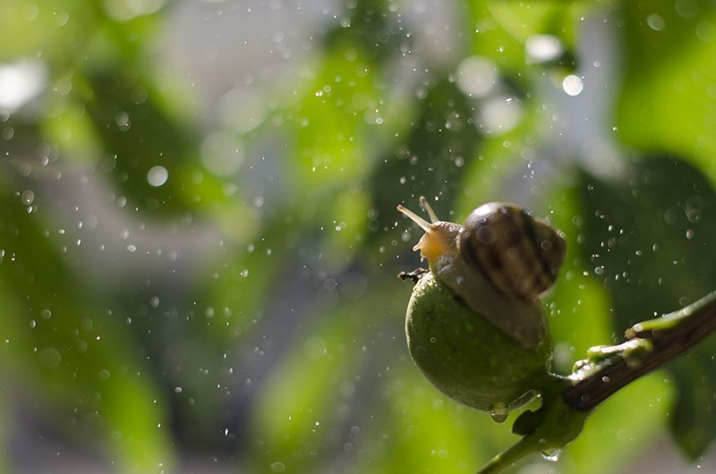 Bogatyreva Ksenia, Russia