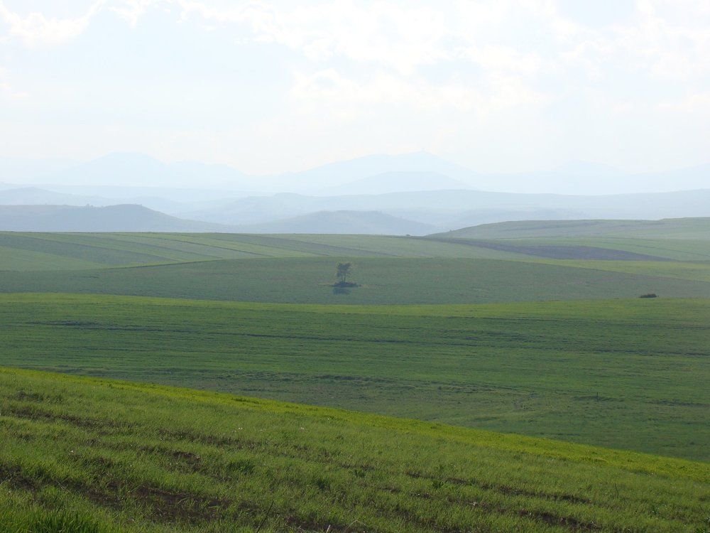 одиночество