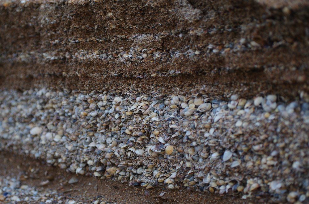 Берег Меотиды