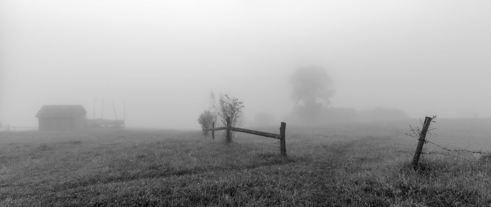 В м'яких обіймах світанку