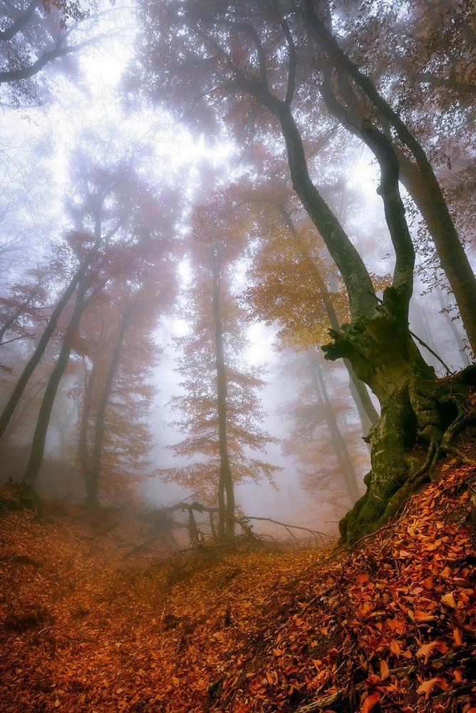 Путь к свету долог и извилист...