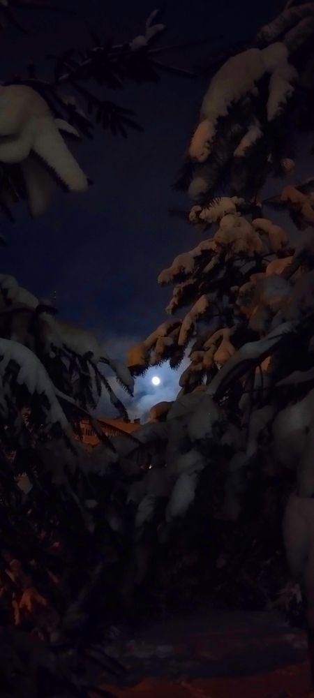 Photograph by Любовь Макарова