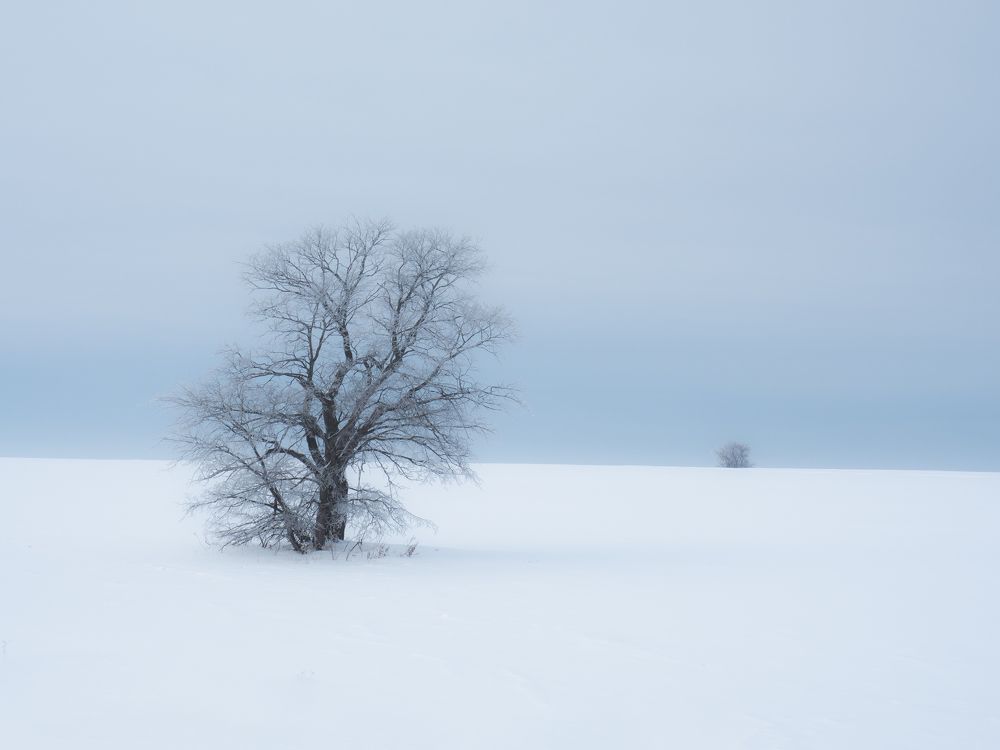 Фотография автора Вячеслав Бобин