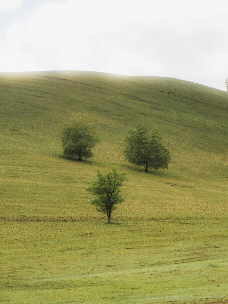 Фотография автора Вячеслав Бобин