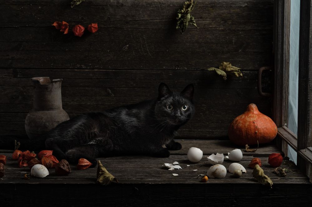 Фотография автора Могилевцева Дарья