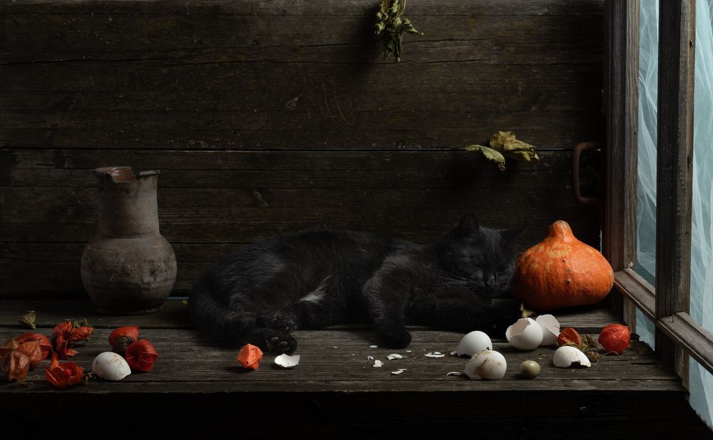 Фотография автора Могилевцева Дарья