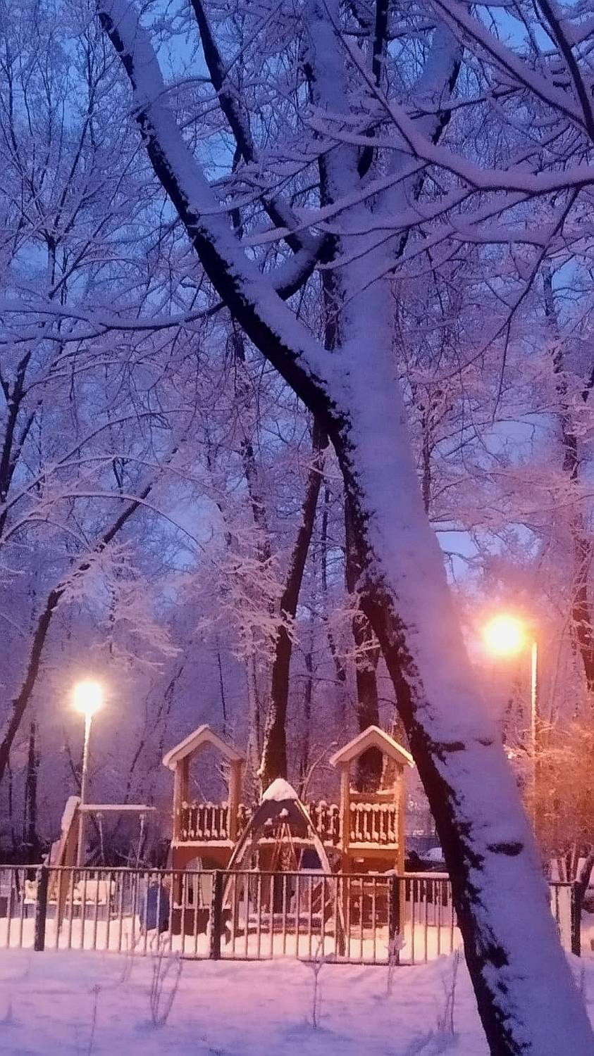 Photo #11650112