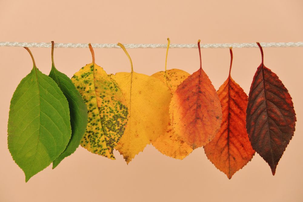 Photograph by Сергей Соколов