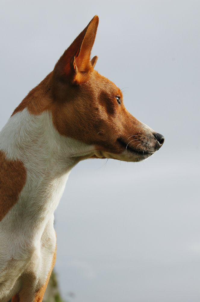 Photograph by Диана Ульянцева