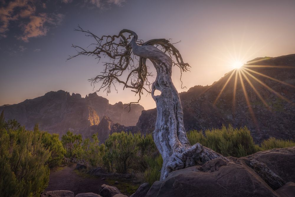 Photograph by Jose Uceda