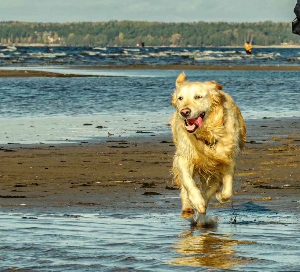 Photograph by Gennadiy Slezkin