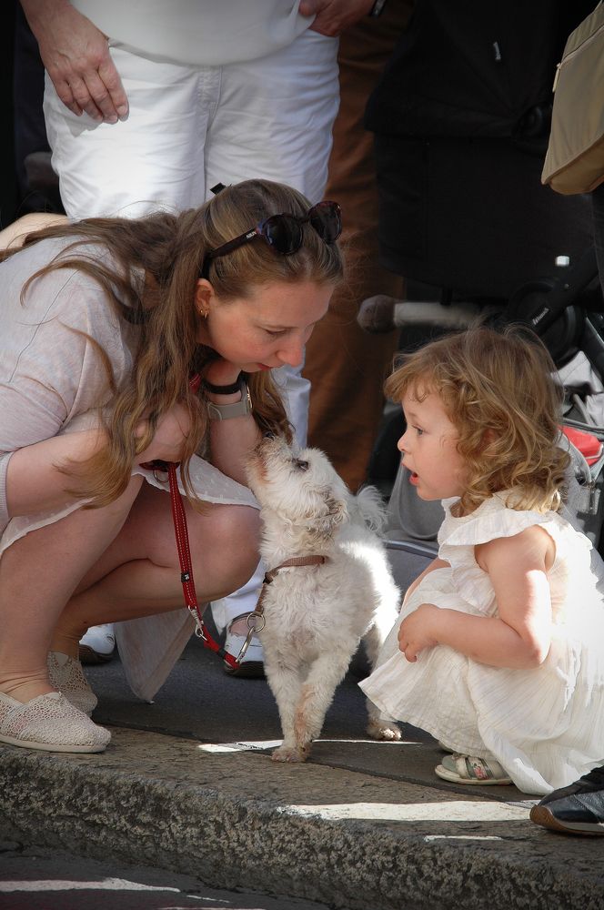 Photograph by Диана Ульянцева