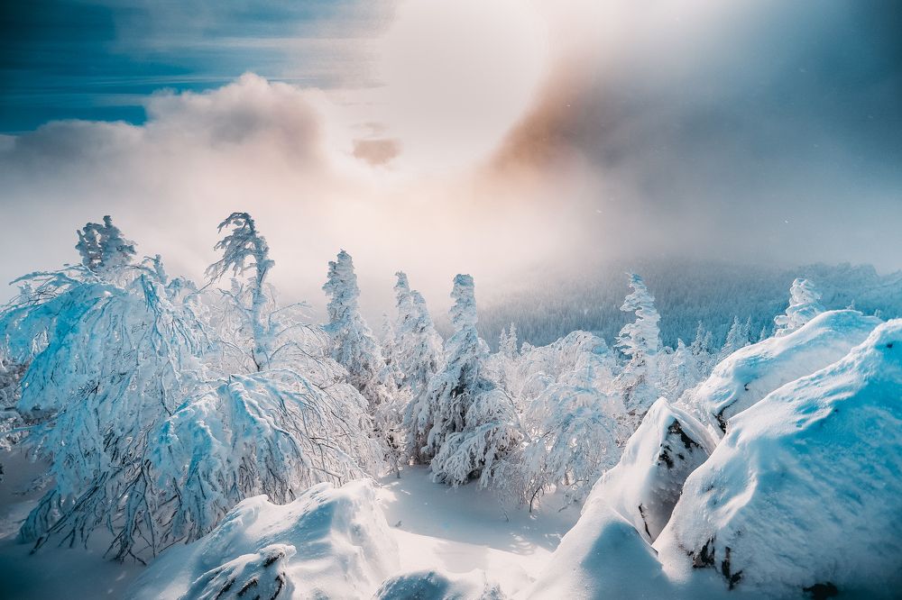 Фотография автора Глеб Салов