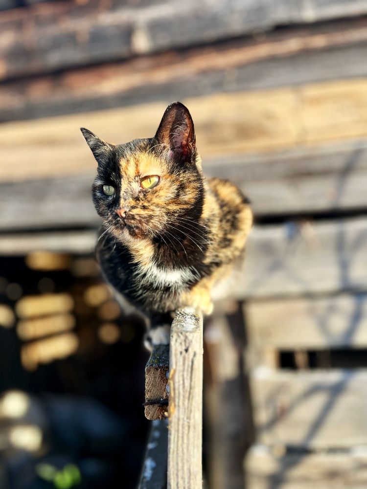 Photograph by Ирина Селиверстова