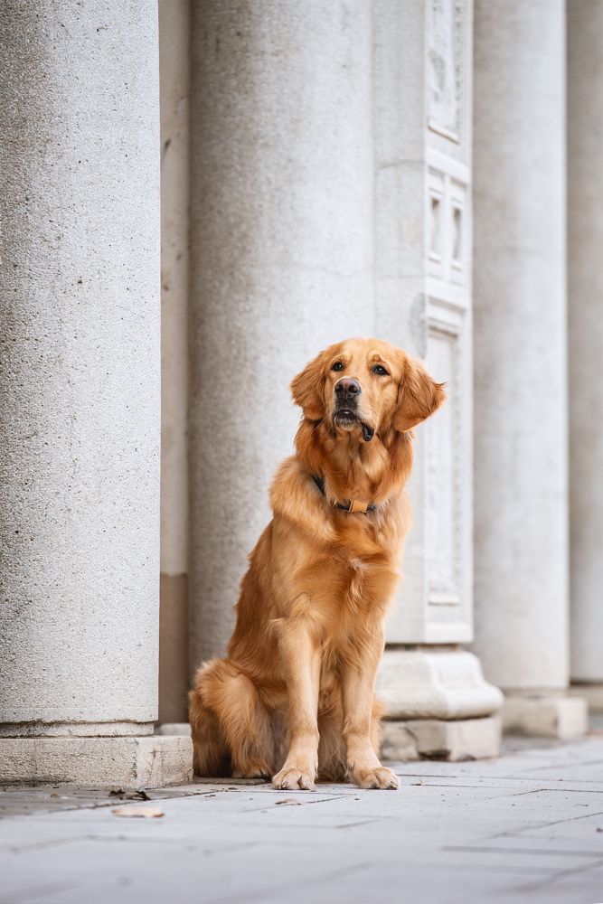 Photograph by Tamás Horváth