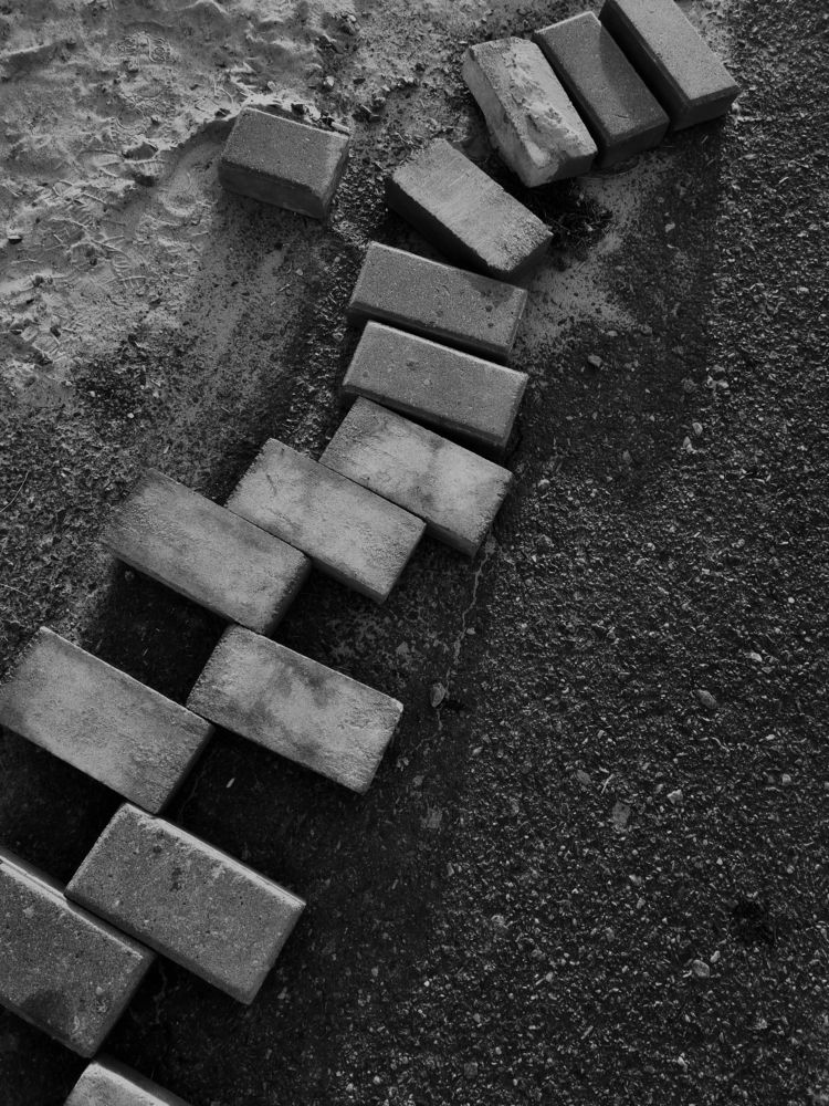 Photograph by Александра