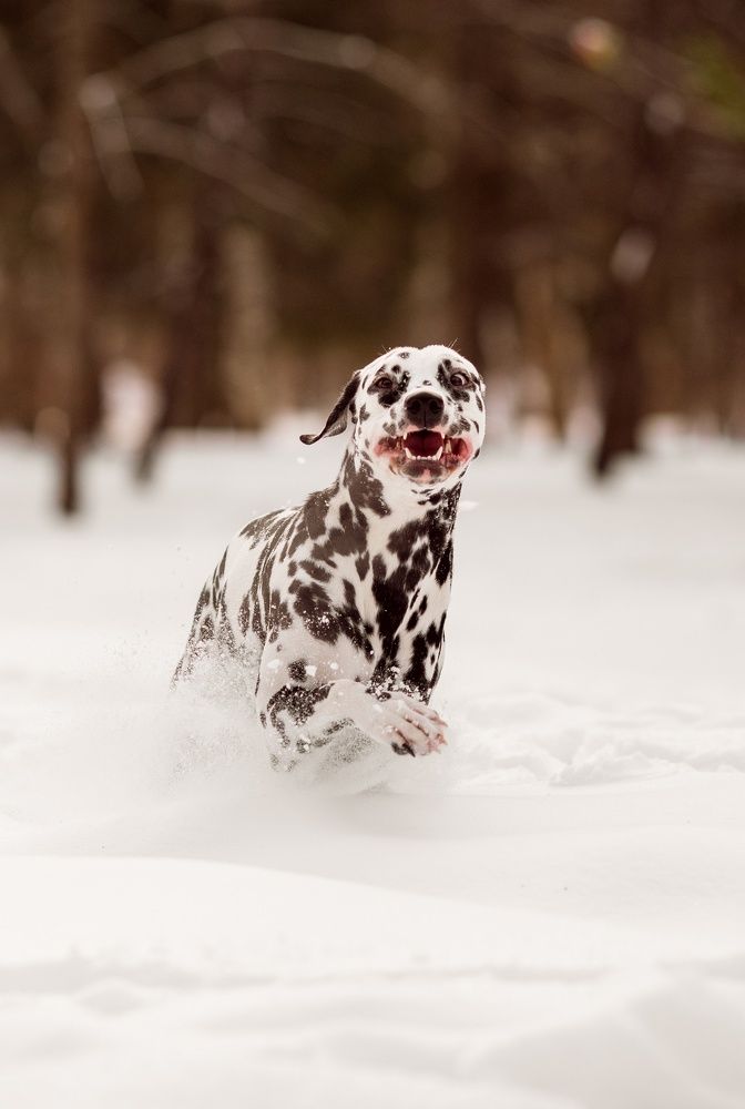 Photograph by Ольга Косова