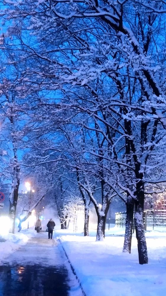 Photograph by Светлана Чернышева