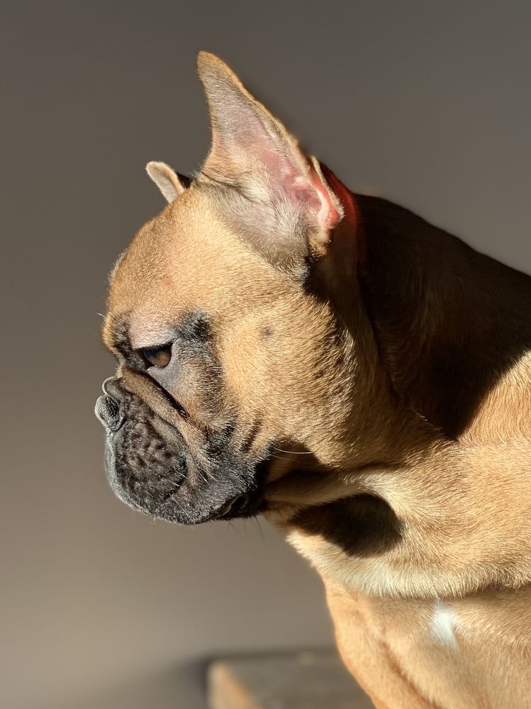 Photograph by Светлана