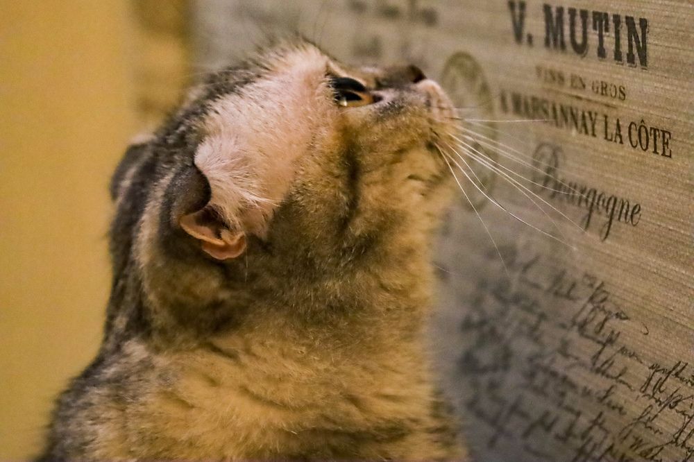 Photograph by Дарья