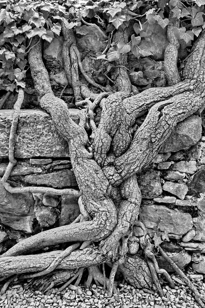 Photograph by Гагик Мхитарян