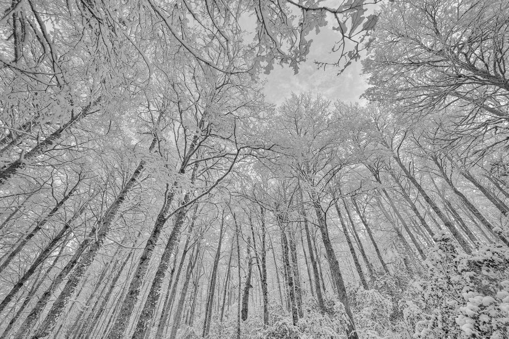 Photograph by patricio