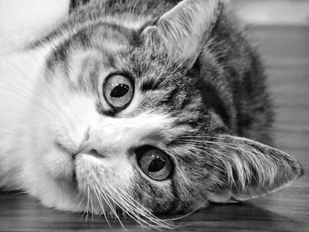 Фотография автора Евгения Никишина