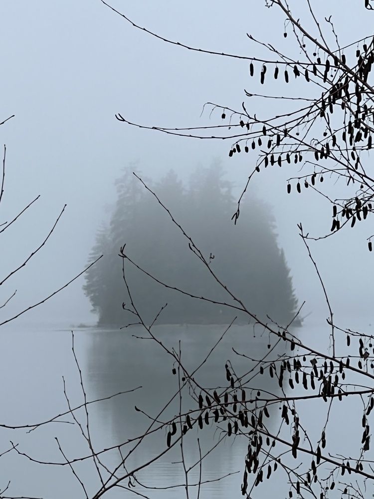 Фотография автора Diana