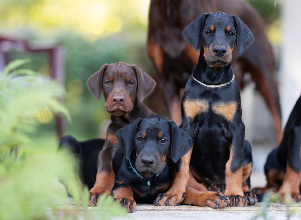 Photograph by Юлия Болдинова