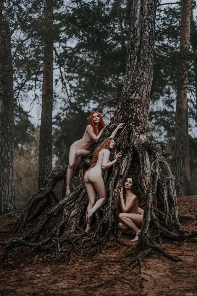 Photograph by Шварцбург Верочка