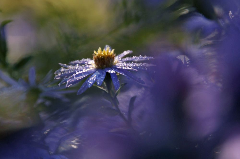 Фотография автора Владимир Петрукович