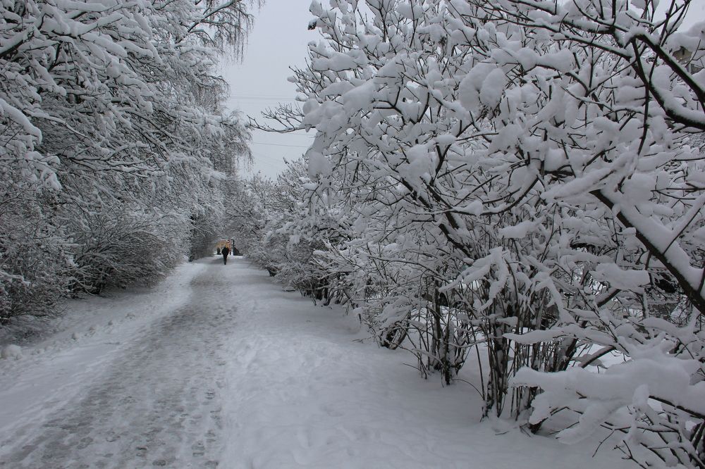 Фотография автора ВЯЧЕСЛАВ