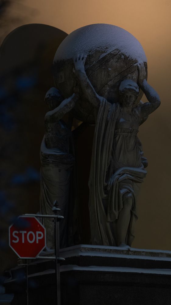 Photo #11650556