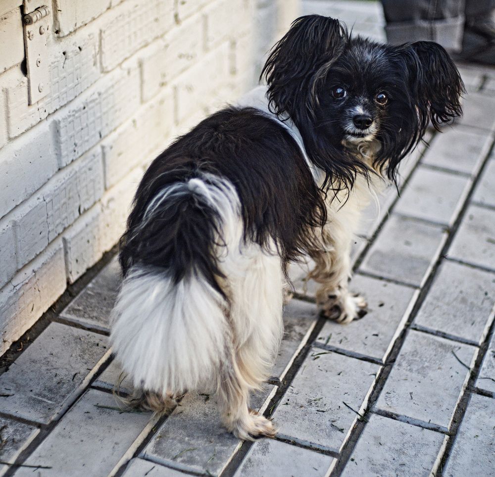 Photograph by Игорь Зиновьев