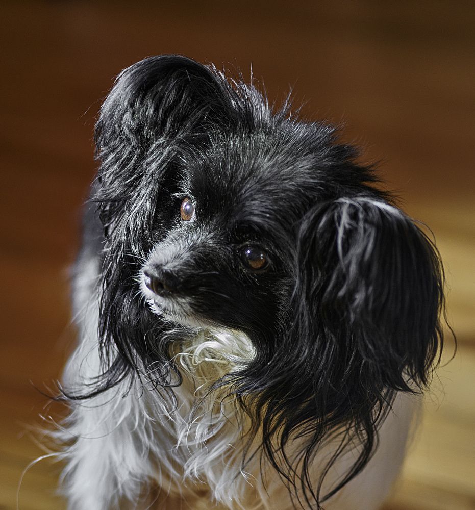 Photograph by Игорь Зиновьев