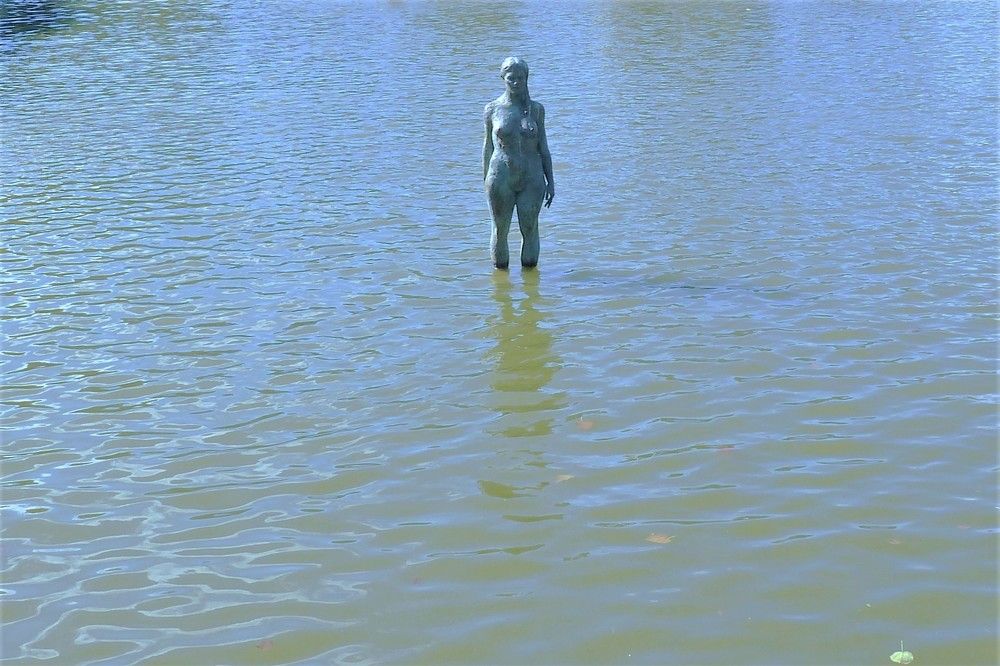 Photograph by Семкин Алексей