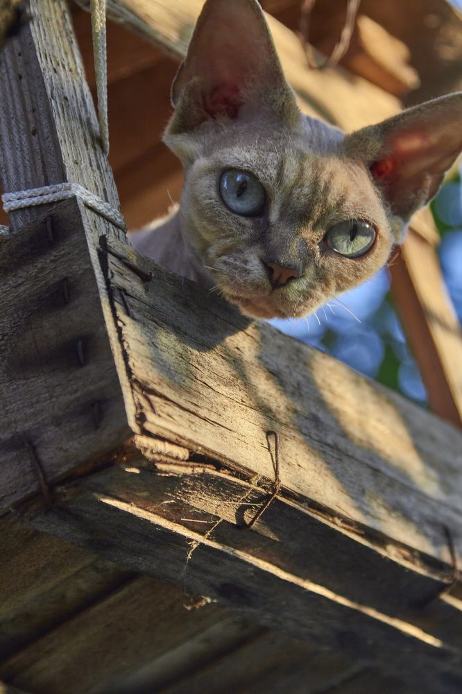 Photograph by Игорь Зиновьев