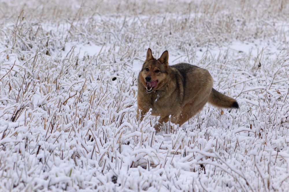 Photograph by Надежда Соболевская