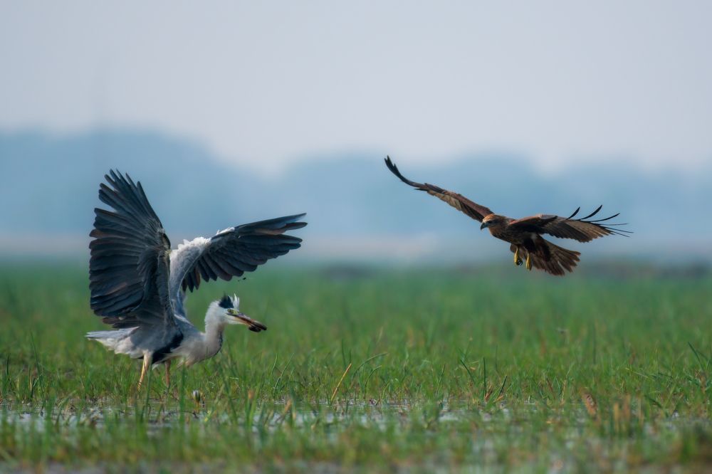 Photograph by Arnold Judson Samuel