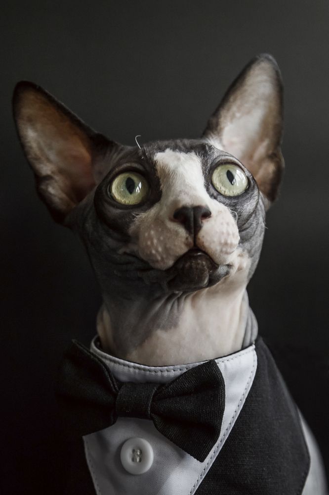 Photograph by Ольга Осинина